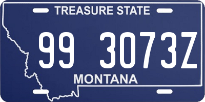 MT license plate 993073Z