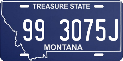 MT license plate 993075J