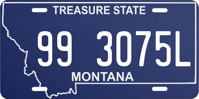 MT license plate 993075L