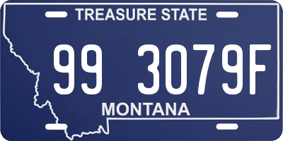 MT license plate 993079F