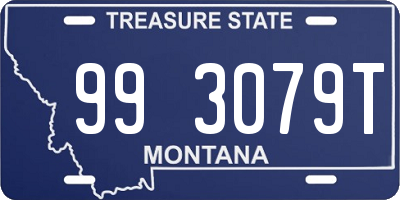 MT license plate 993079T