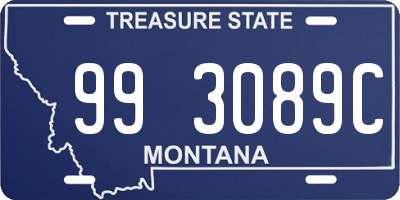 MT license plate 993089C