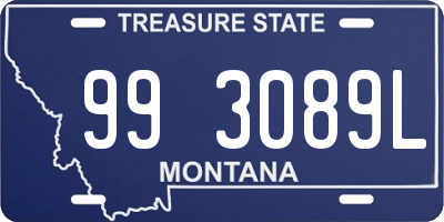 MT license plate 993089L