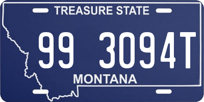 MT license plate 993094T