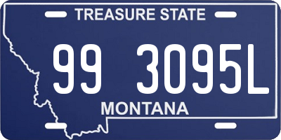 MT license plate 993095L