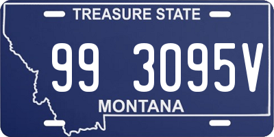 MT license plate 993095V