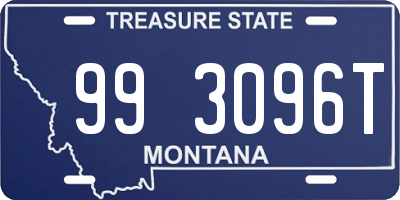 MT license plate 993096T