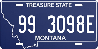 MT license plate 993098E