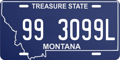 MT license plate 993099L