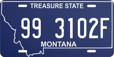 MT license plate 993102F