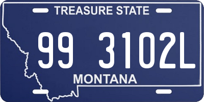 MT license plate 993102L