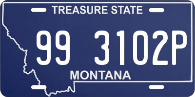 MT license plate 993102P