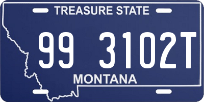 MT license plate 993102T