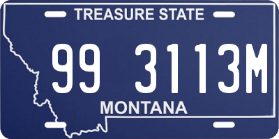 MT license plate 993113M