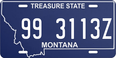 MT license plate 993113Z