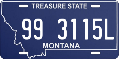 MT license plate 993115L