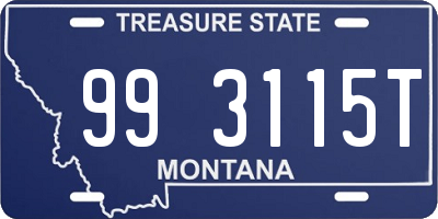 MT license plate 993115T