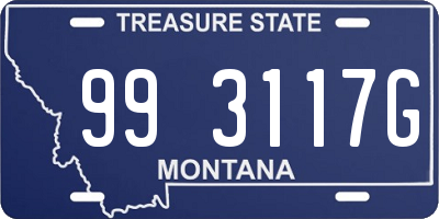 MT license plate 993117G