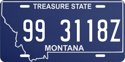 MT license plate 993118Z