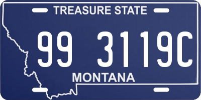 MT license plate 993119C