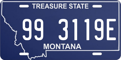 MT license plate 993119E