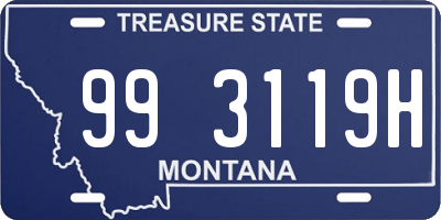 MT license plate 993119H