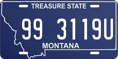 MT license plate 993119U