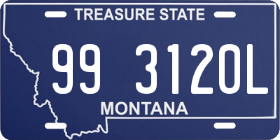 MT license plate 993120L