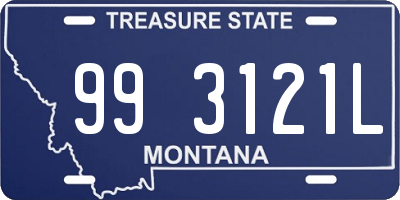MT license plate 993121L