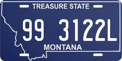 MT license plate 993122L