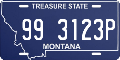 MT license plate 993123P