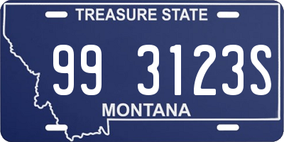 MT license plate 993123S