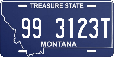 MT license plate 993123T