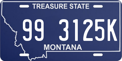 MT license plate 993125K