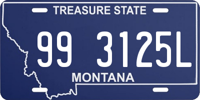 MT license plate 993125L