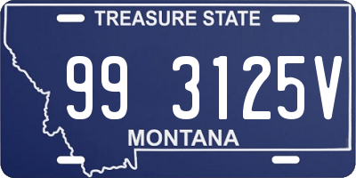 MT license plate 993125V