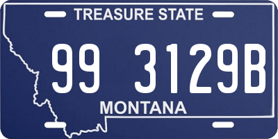 MT license plate 993129B