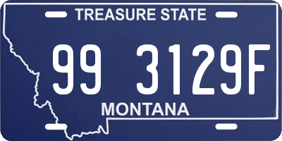 MT license plate 993129F