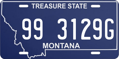 MT license plate 993129G