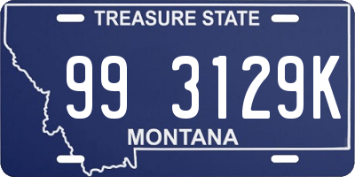 MT license plate 993129K