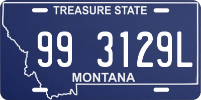 MT license plate 993129L