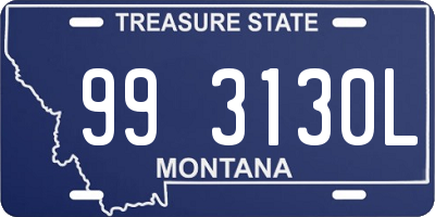 MT license plate 993130L