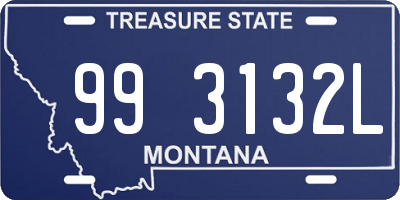 MT license plate 993132L