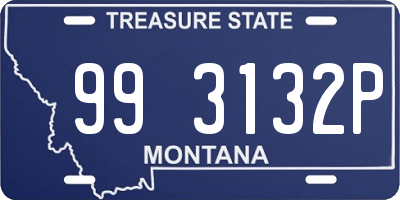 MT license plate 993132P