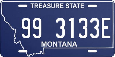 MT license plate 993133E