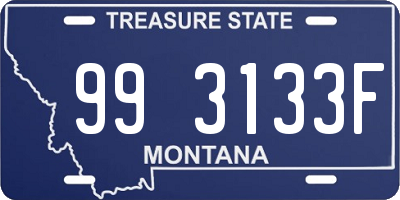 MT license plate 993133F