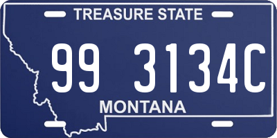 MT license plate 993134C