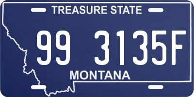 MT license plate 993135F