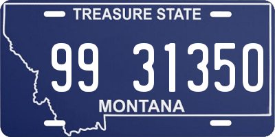 MT license plate 993135O