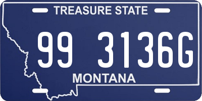 MT license plate 993136G